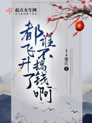 飞升和不飞升
