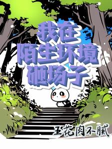 苏灿的人生
