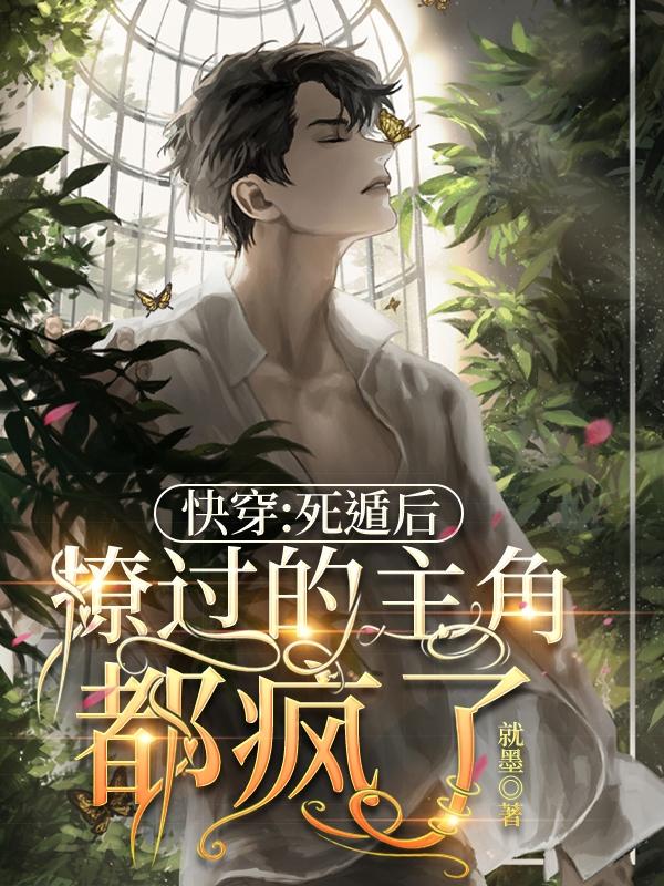 快穿死盾
