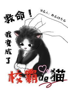 小说 校霸